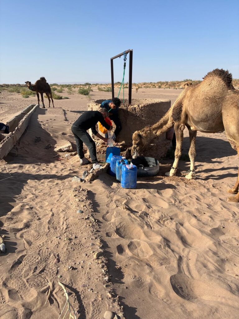 camel trek from mhamid