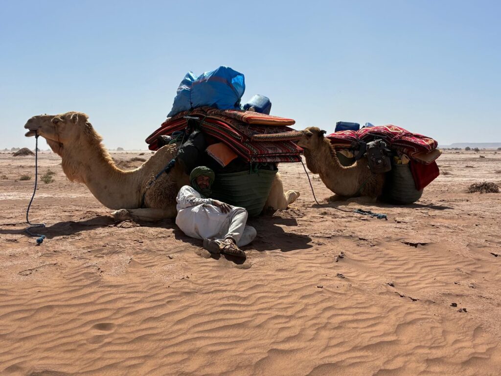 camel trek from mhamid